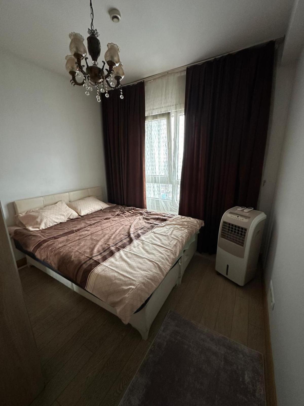 Dream Daire